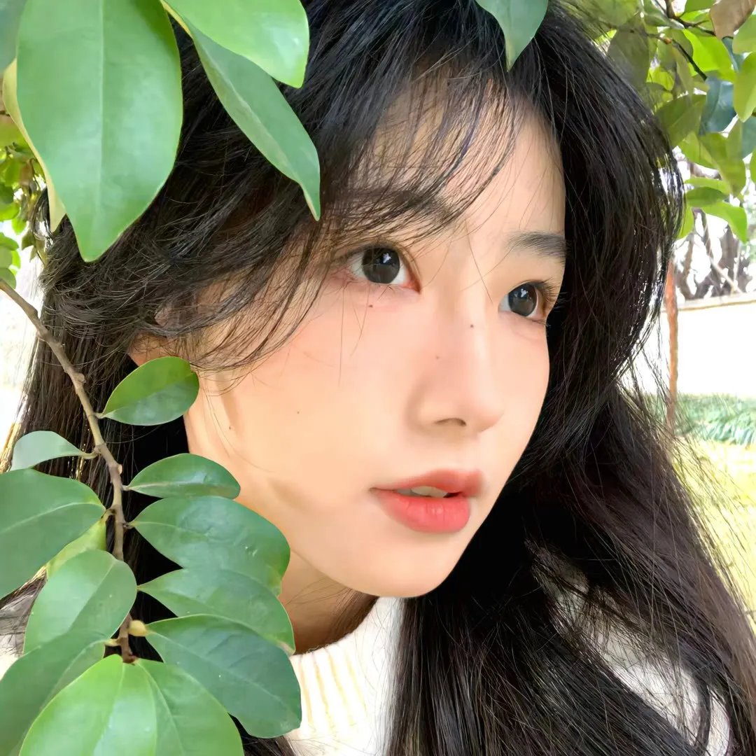 美丽的日子2018