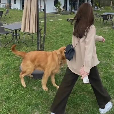 无尽的欲望